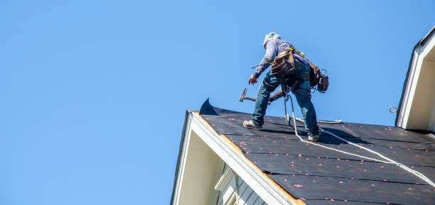 Best Roof Gutter Cleaning  in Barberton, OH